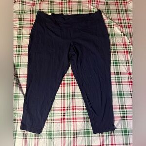 Terra & Sky Plus Size Women’s Leggings Pants Size 4X 28/30W Navy NWT